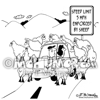 Sheep Cartoon 6008