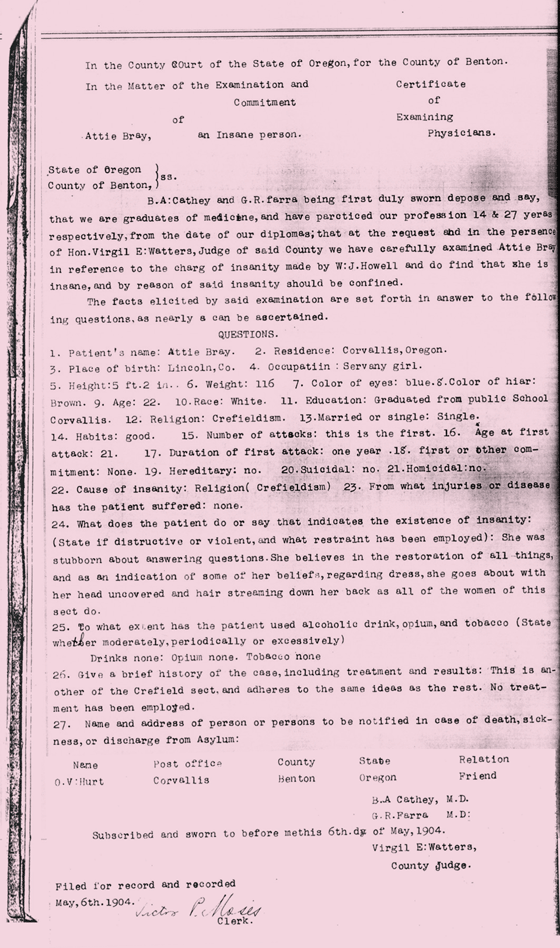 Attie Bray's Insane Asylum Commitment Documents