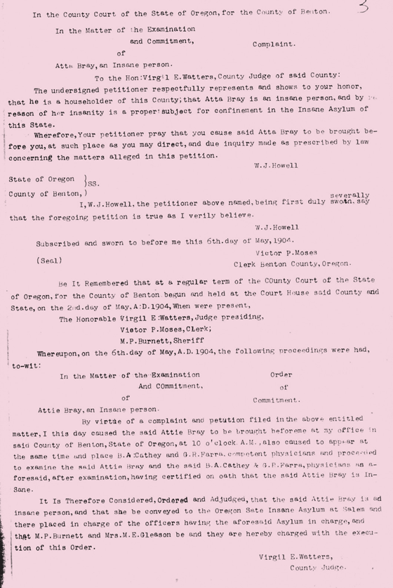Attie Bray's Insane Asylum Commitment Documents