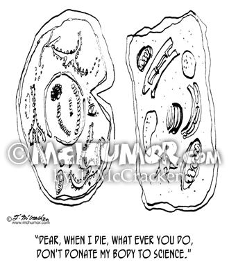 Amoeba Cartoon 1077