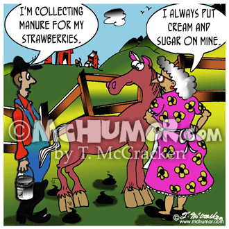 Horse Cartoon 2838