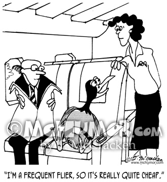 Frequent Flyer Cartoon 3074