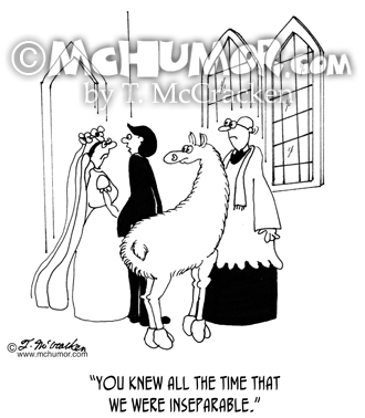 Llama Cartoon 5601