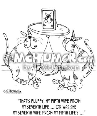 Divorce Cartoon 6852