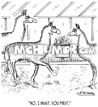 Llama Cartoon 7138