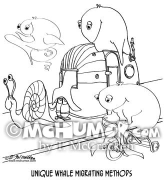 Whale Cartoon 8729