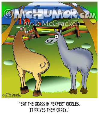 Llama Cartoon 8828