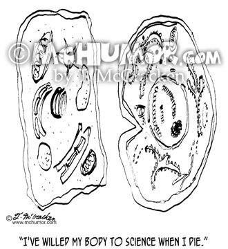 Biology Cartoon 9044