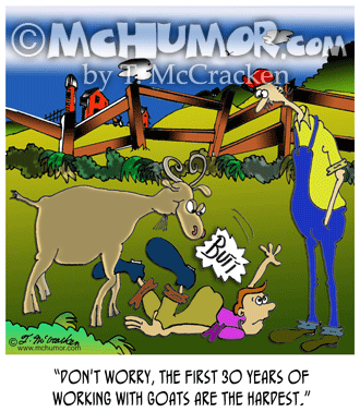 Goat Cartoon 9072