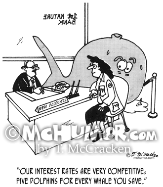 Dolphin Cartoon 3141