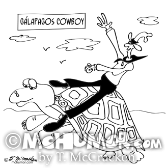 Tortoise Cartoon 9597
