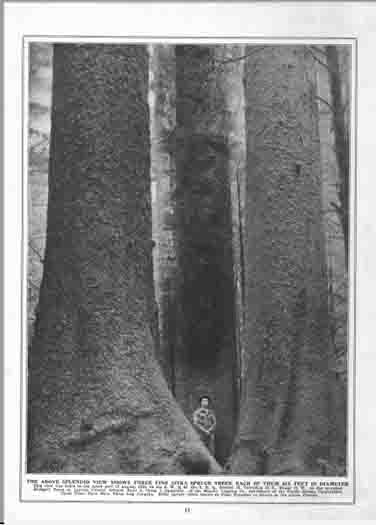 The Blodgett Tract 1923