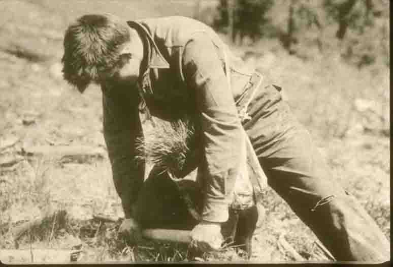 CO Planting trees at Cape Perpetua