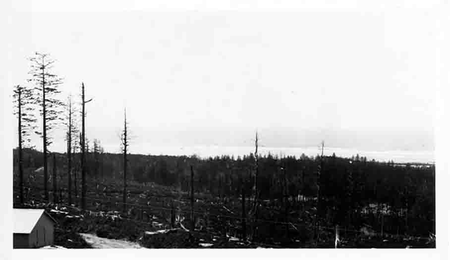 Conscientious Objector Camp Overview