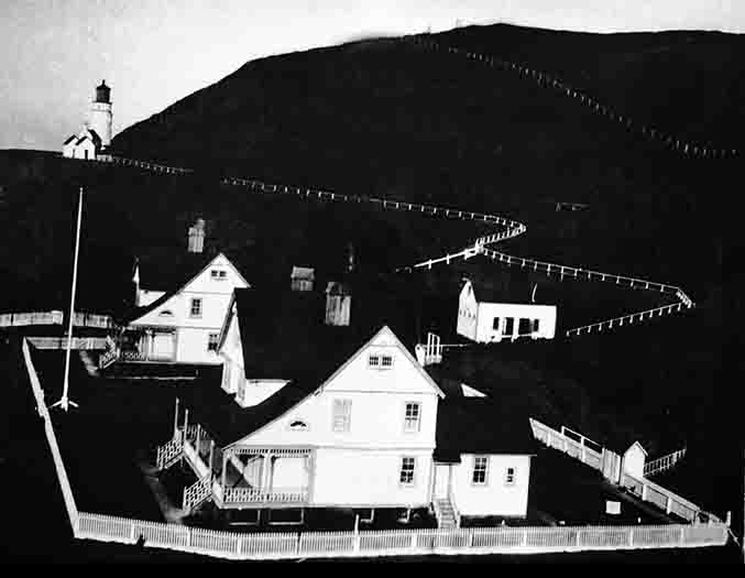 There's Lots of Fencing to Paint at Heceta