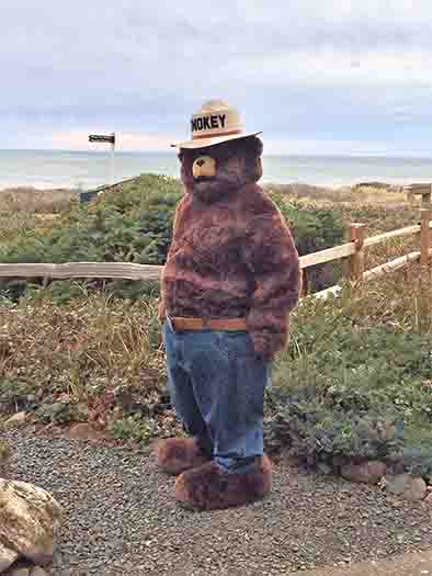 Smokey making sure the camp fire doesn't get out of control