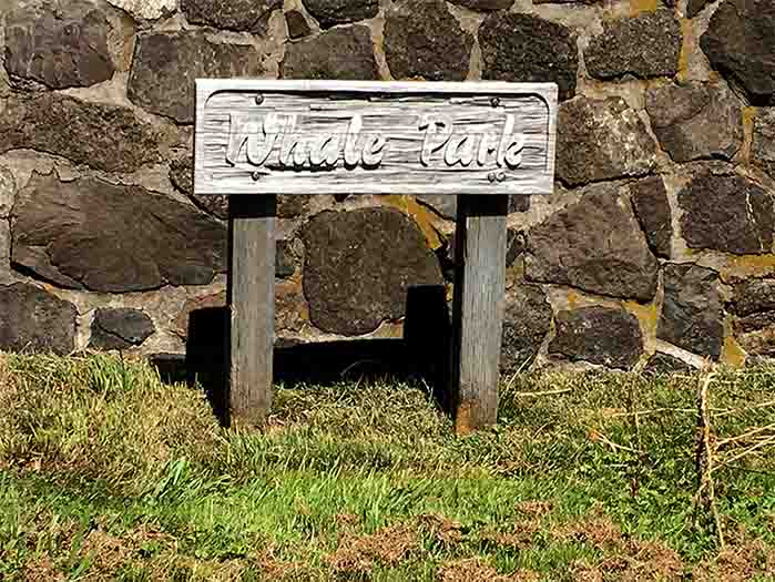 Whale Park, Yachats in 2019