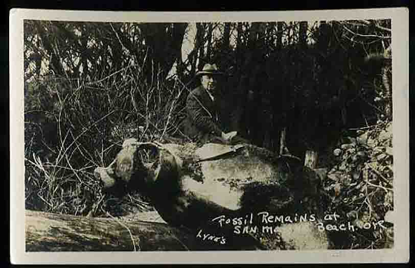 Dr. Linton with a large bone at San Marine Beach